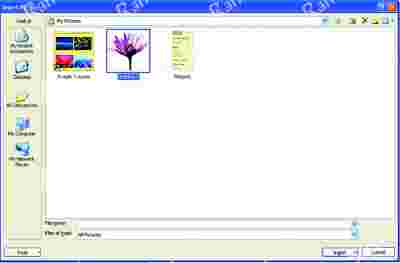 Image